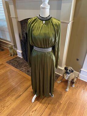 Olive Green Long Sleeve Pleated Dress with Jeweled Collar and Waist